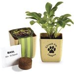 Buy Advertising Flower Pot Set With Basil Seeds