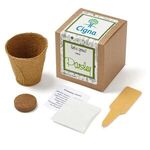 Parsley Seed Growable Planter Kit