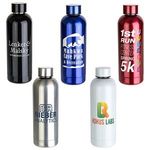 Sleek-Sip 17 oz Vacuum Insulated Stainless Steel Bottle -  