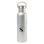 Aviana™ Metallics Double Wall Stainless Steel Bottle - 20 Oz - Metallic Silver