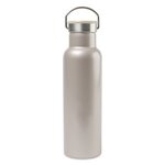 Aviana(TM) Metallics Double Wall Stainless Steel Bottle - 20 Oz - Champagne