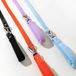 Custom Printed Springer Dog Leash -  