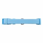 Custom Printed Springer Extra Large Dog Collar - Sky Blue