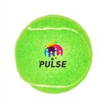 Full Color Pet Tennis Ball Toy - Lime Green