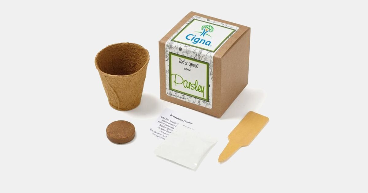 Parsley Seed Growable Planter Kit with your logo