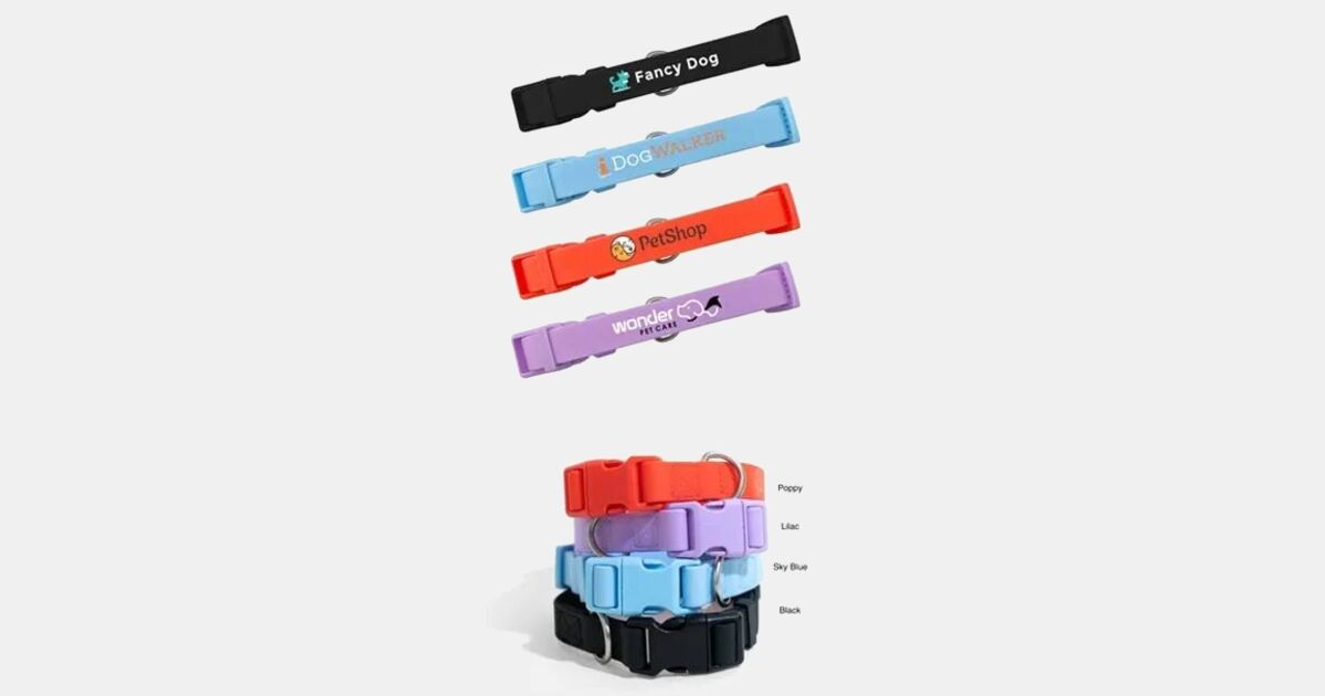 Springlan Collar Custom Printed Springland Extra Large Dog Collar with your logo ...