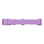 Springer Large Dog Collar - Lilac