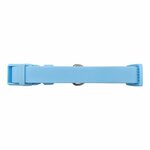 Springer Large Dog Collar - Sky Blue