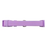 Springer Medium Dog Collar - Lilac