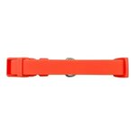 Springer Medium Dog Collar - Poppy