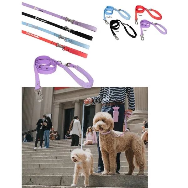 Main Product Image for Springer Small Dog Leash