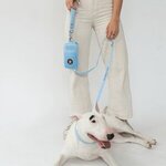 Springer Walk Bag + Dog Leash -  