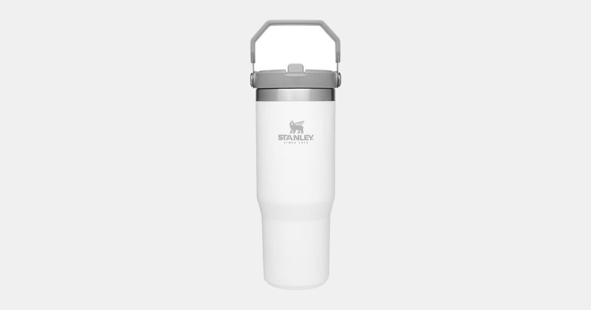 Shop the Best Insulated Tumblers from Stanley, Thermos, Skater
