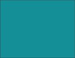 Sublimated Non-Woven Placemat - Teal