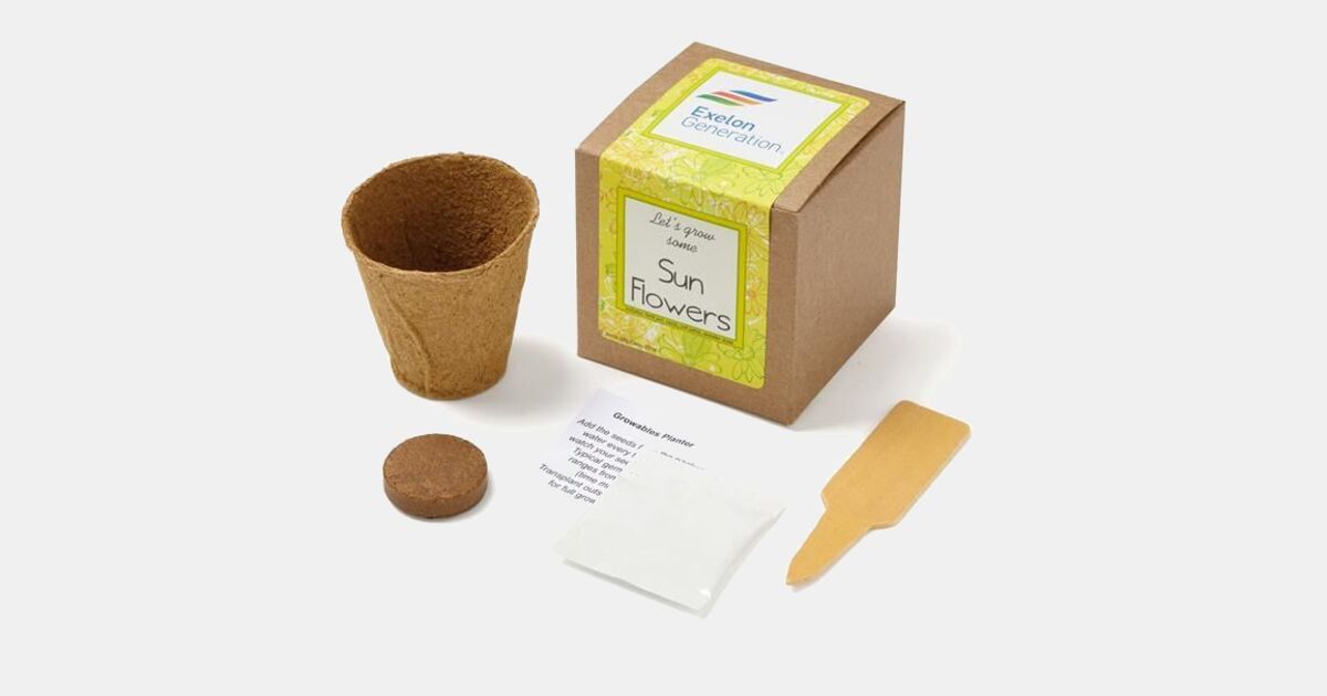 Sunflower Seed Growables Planter in Kraft Gift Box with your logo ...