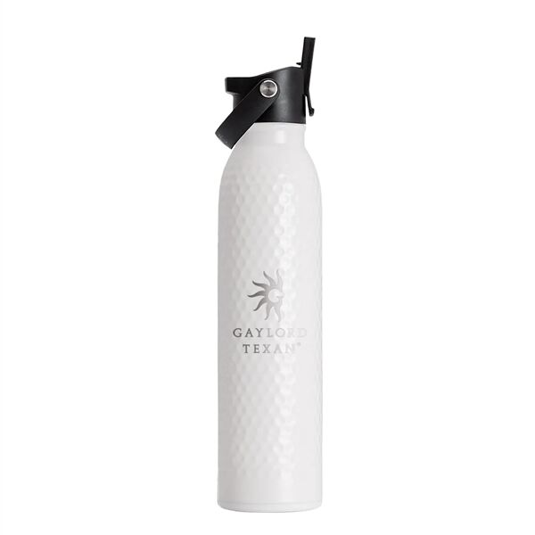 Main Product Image for Custom Printed Swig 20oz Golf Partee Flip + Sip Water Bottle